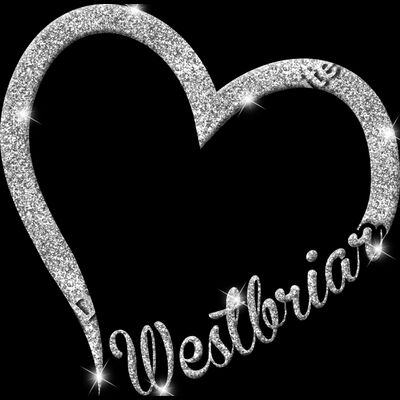 GLT36 SILVER GLITTER Thumbnail