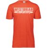 3065 Adult Extra Soft Tri-Blend T-Shirt Thumbnail